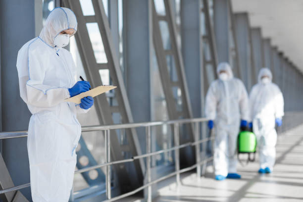 Best Post-Construction Mold Inspection  in Gonzalez, FL
