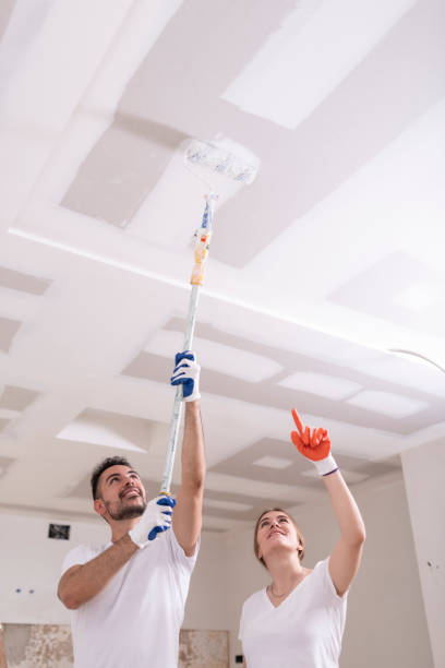 Trusted Gonzalez, FL Mold Removal Experts