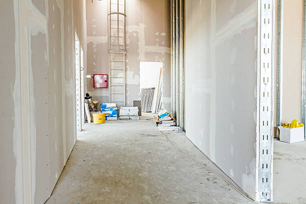 Best Environmental Consulting for Mold Prevention  in Gonzalez, FL
